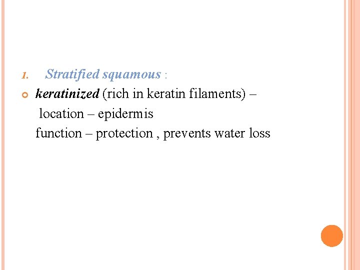 1. Stratified squamous : keratinized (rich in keratin filaments) – location – epidermis function