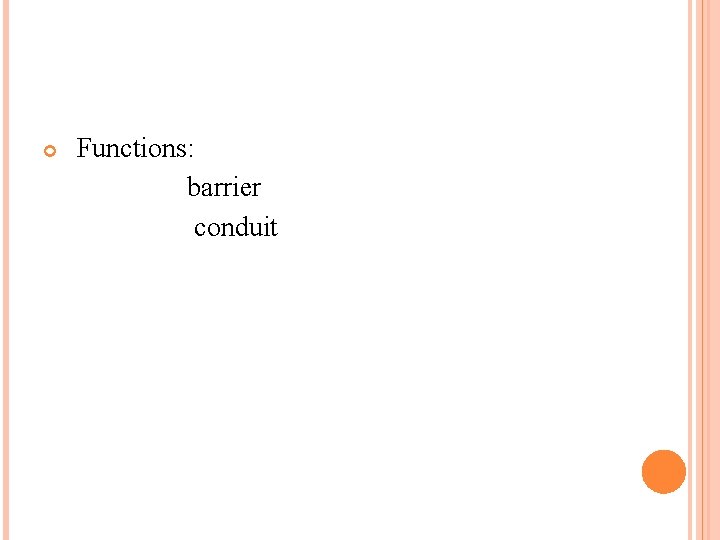  Functions: barrier conduit 