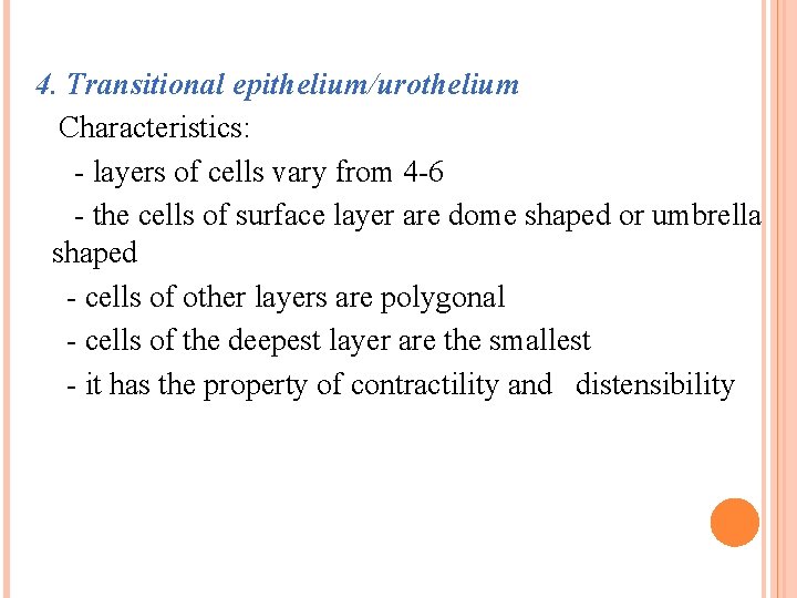 4. Transitional epithelium/urothelium Characteristics: - layers of cells vary from 4 -6 - the
