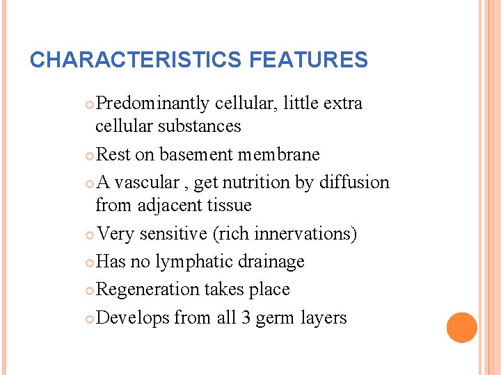 CHARACTERISTICS FEATURES Predominantly cellular, little extra cellular substances Rest on basement membrane A vascular