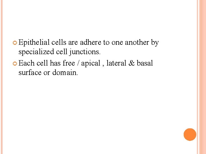  Epithelial cells are adhere to one another by specialized cell junctions. Each cell