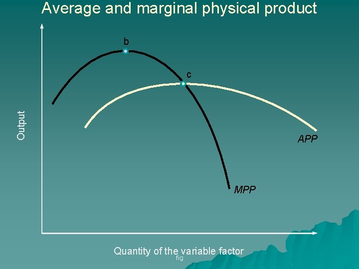 Average and marginal physical product b Output c APP MPP Quantity of the variable