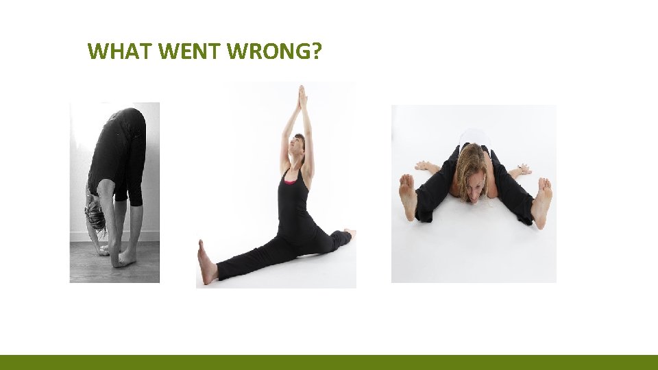 WHAT WENT WRONG? WHAT WENT WRONG?