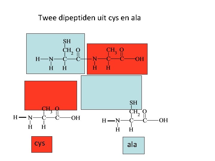 Twee dipeptiden uit cys en ala cys ala Twee dipeptiden uit cys en ala cys ala