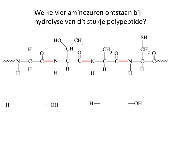 Welke vier aminozuren ontstaan bij hydrolyse van dit stukje polypeptide? Welke vier aminozuren ontstaan bij hydrolyse van dit stukje polypeptide?