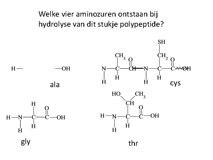 Welke vier aminozuren ontstaan bij hydrolyse van dit stukje polypeptide? cys ala gly thr Welke vier aminozuren ontstaan bij hydrolyse van dit stukje polypeptide? cys ala gly thr