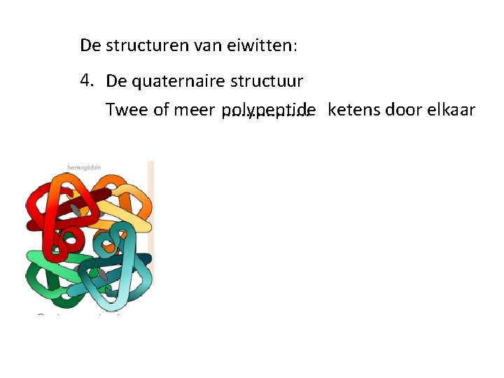 De structuren van eiwitten: 4. De quaternaire structuur Twee of meer polypeptide. . . De structuren van eiwitten: 4. De quaternaire structuur Twee of meer polypeptide. . .