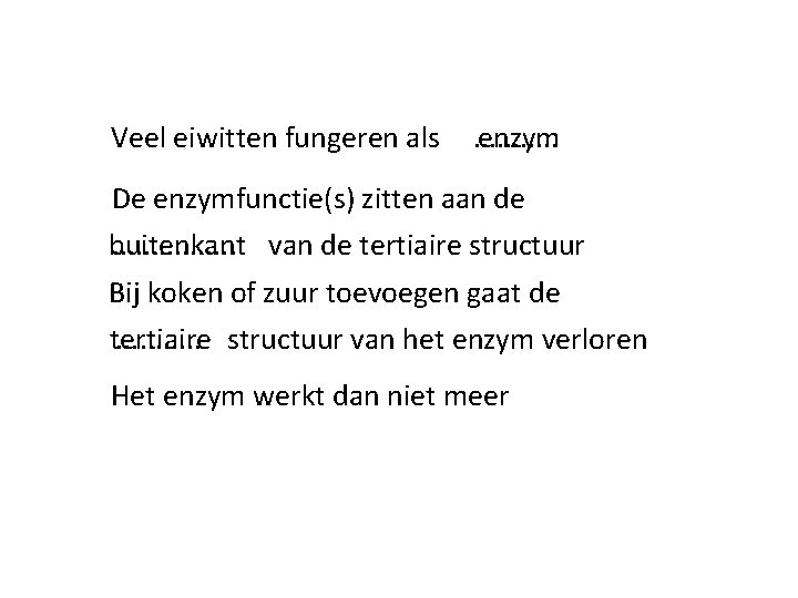 Veel eiwitten fungeren als . . . enzym De enzymfunctie(s) zitten aan de buitenkant. Veel eiwitten fungeren als . . . enzym De enzymfunctie(s) zitten aan de buitenkant.