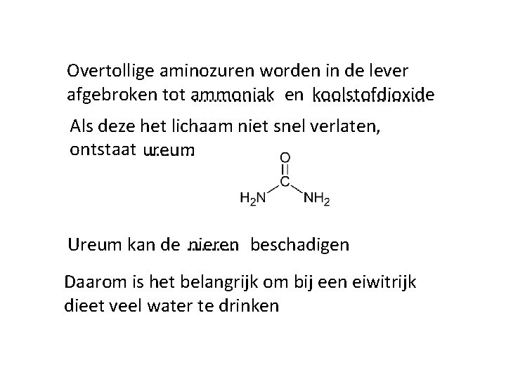 Overtollige aminozuren worden in de lever afgebroken tot ammoniak. . . . en koolstofdioxide. Overtollige aminozuren worden in de lever afgebroken tot ammoniak. . . . en koolstofdioxide.