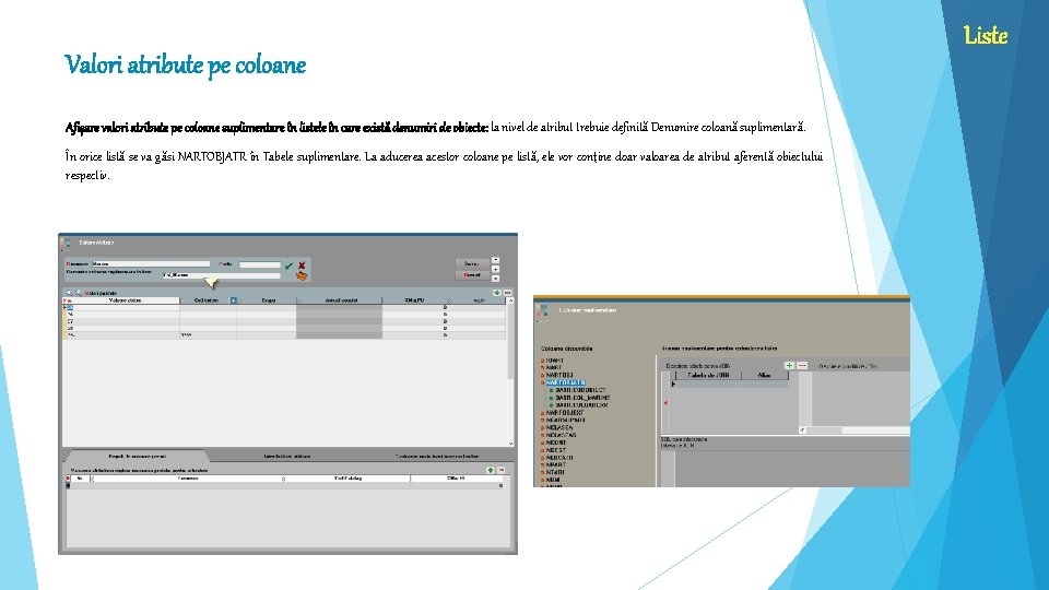 Valori atribute pe coloane Afișare valori atribute pe coloane suplimentare în listele în care