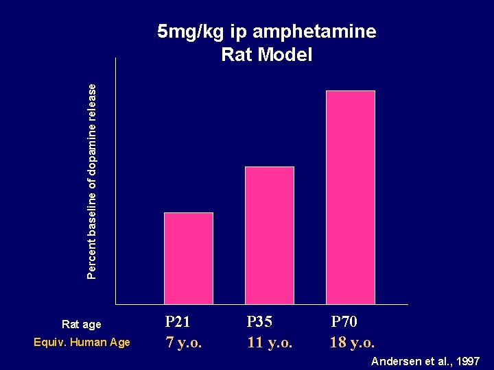 Percent baseline of dopamine release 5 mg/kg ip amphetamine Rat Model Rat age Equiv.
