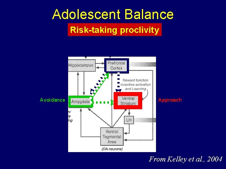 Adolescent Balance Risk-taking proclivity Avoidance Approach From Kelley et al. , 2004 