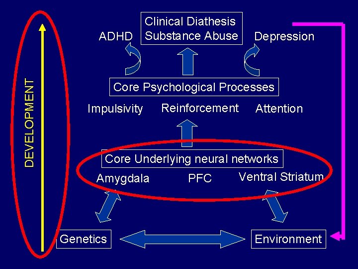 DEVELOPMENT Clinical Diathesis ADHD Substance Abuse Depression Core Psychological Processes Impulsivity Reinforcement Attention Core