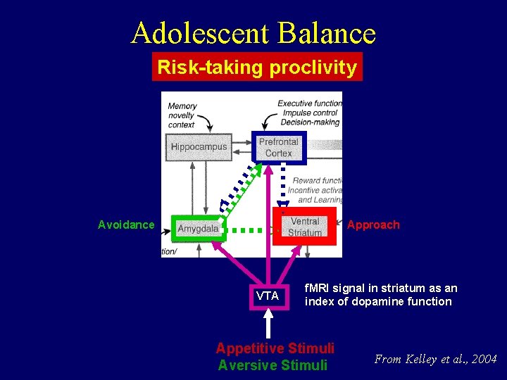 Adolescent Balance Risk-taking proclivity Avoidance Approach VTA f. MRI signal in striatum as an