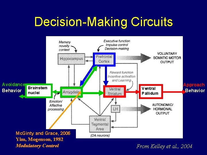 Decision-Making Circuits Avoidance Brainstem Behavior nuclei Ventral Pallidum Approach Behavior Mc. Ginty and Grace,