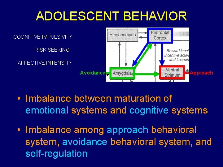 ADOLESCENT BEHAVIOR COGNITIVE IMPULSIVITY RISK SEEKING AFFECTIVE INTENSITY Avoidance Approach • Imbalance between maturation