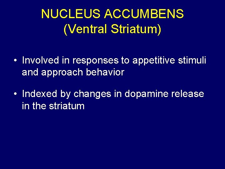 NUCLEUS ACCUMBENS (Ventral Striatum) • Involved in responses to appetitive stimuli and approach behavior