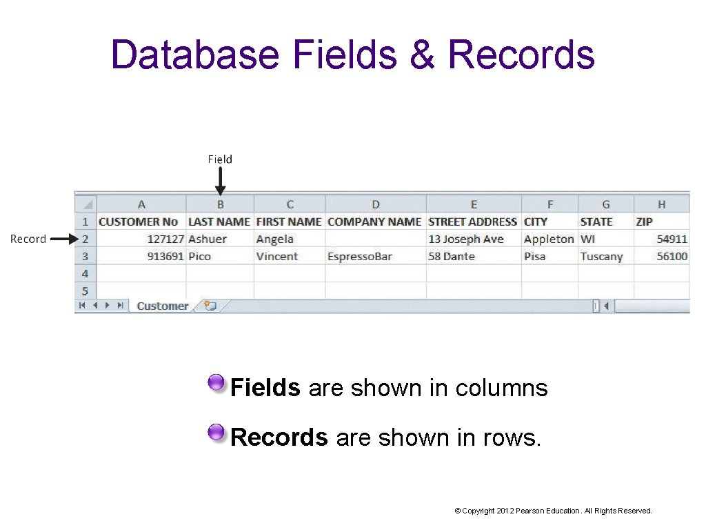 Database Fields & Records Fields are shown in columns Records are shown in rows.