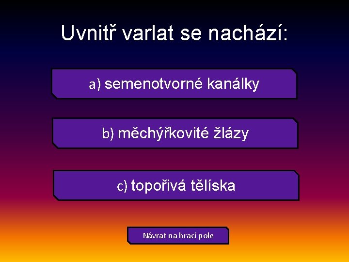 Uvnitř varlat se nachází: a) semenotvorné kanálky b) měchýřkovité žlázy c) topořivá tělíska Návrat