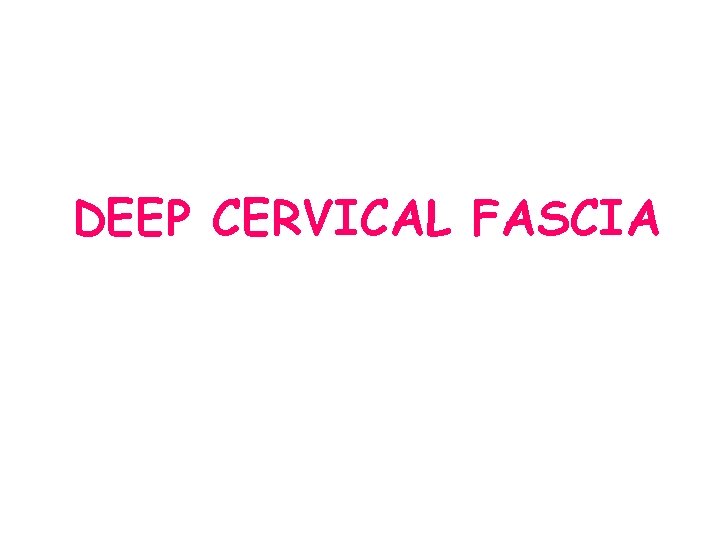 DEEP CERVICAL FASCIA DEEP CERVICAL FASCIA