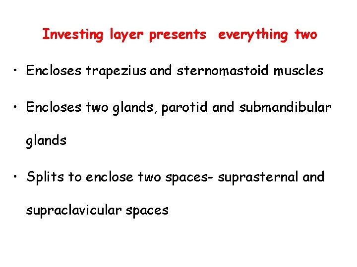 Investing layer presents everything two • Encloses trapezius and sternomastoid muscles • Encloses two Investing layer presents everything two • Encloses trapezius and sternomastoid muscles • Encloses two