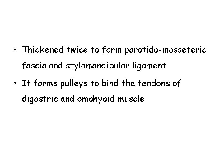  • Thickened twice to form parotido-masseteric fascia and stylomandibular ligament • It forms