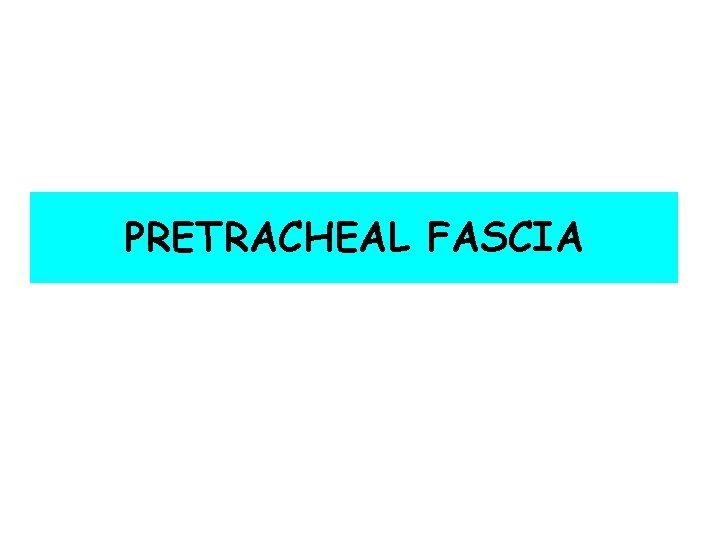 PRETRACHEAL FASCIA 