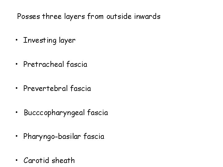 Posses three layers from outside inwards • Investing layer • Pretracheal fascia • Prevertebral Posses three layers from outside inwards • Investing layer • Pretracheal fascia • Prevertebral