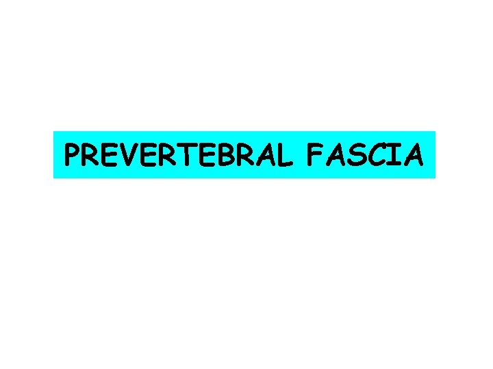 PREVERTEBRAL FASCIA 