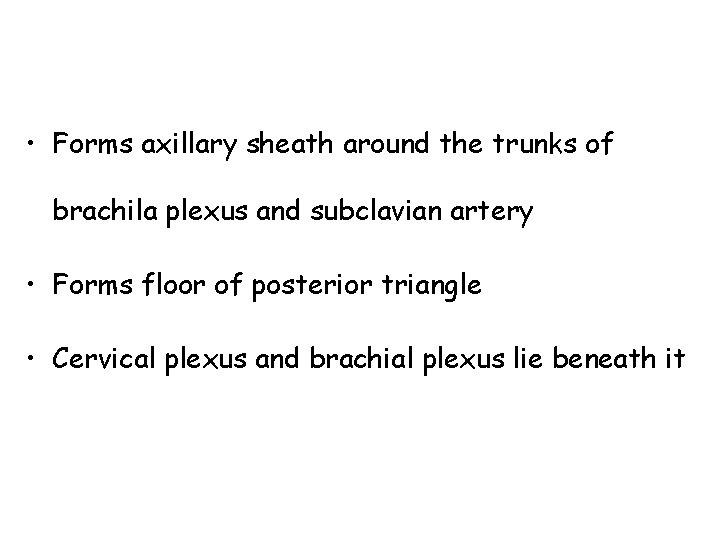• Forms axillary sheath around the trunks of brachila plexus and subclavian artery • Forms axillary sheath around the trunks of brachila plexus and subclavian artery
