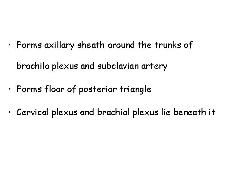  • Forms axillary sheath around the trunks of brachila plexus and subclavian artery