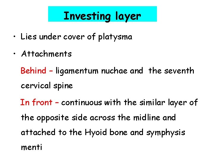 Investing layer • Lies under cover of platysma • Attachments Behind – ligamentum nuchae