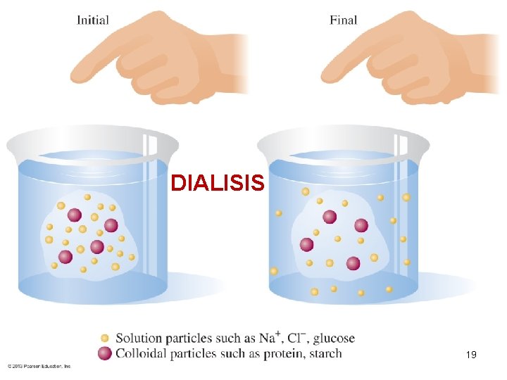 DIALISIS 19 