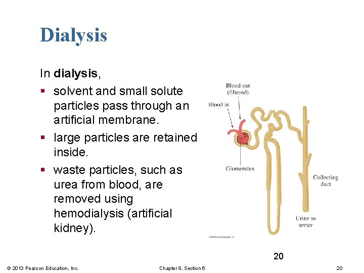 Dialysis In dialysis, § solvent and small solute particles pass through an artificial membrane.