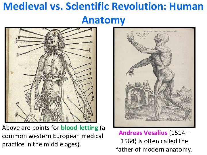 Medieval vs. Scientific Revolution: Human Anatomy Above are points for blood-letting (a common western