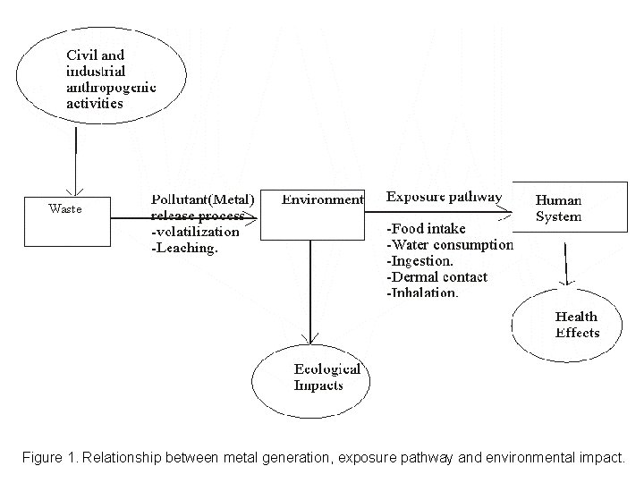 Figure 1. Relationship between metal generation, exposure pathway and environmental impact. 
