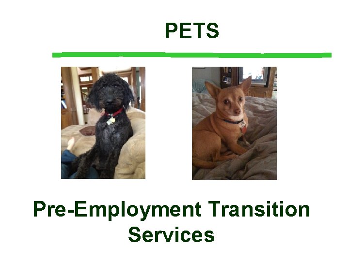 PETS Pre-Employment Transition Services PETS Pre-Employment Transition Services