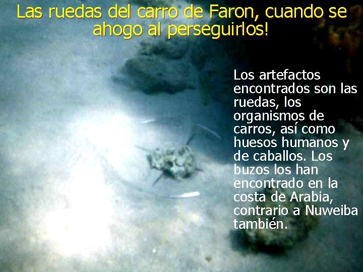 Las ruedas del carro de Faron, cuando se ahogo al perseguirlos! Los artefactos encontrados Las ruedas del carro de Faron, cuando se ahogo al perseguirlos! Los artefactos encontrados