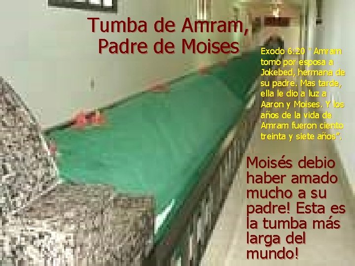 Tumba de Amram, Padre de Moises Exodo 6: 20 “ Amram tomo por esposa Tumba de Amram, Padre de Moises Exodo 6: 20 “ Amram tomo por esposa