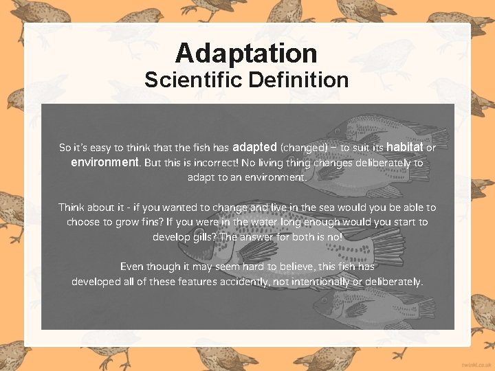 Adaptation Scientific Definition So it’s easy to think that the fish has adapted (changed) Adaptation Scientific Definition So it’s easy to think that the fish has adapted (changed)