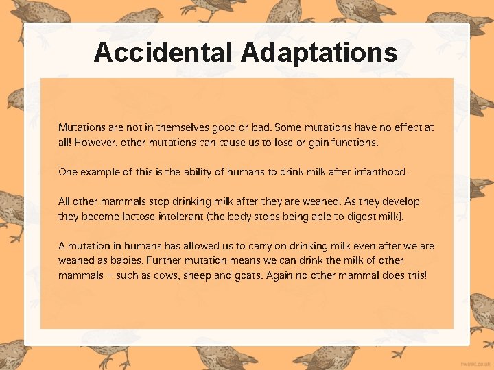 Accidental Adaptations Mutations are not in themselves good or bad. Some mutations have no Accidental Adaptations Mutations are not in themselves good or bad. Some mutations have no