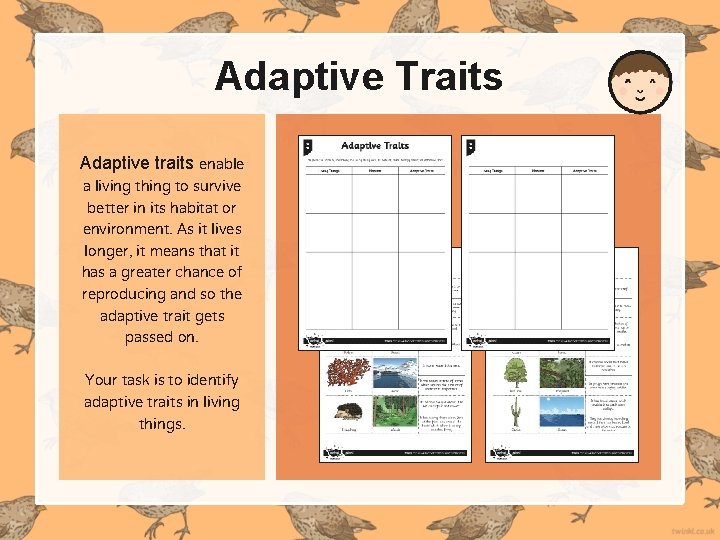Adaptive Traits Adaptive traits enable a living thing to survive better in its habitat Adaptive Traits Adaptive traits enable a living thing to survive better in its habitat