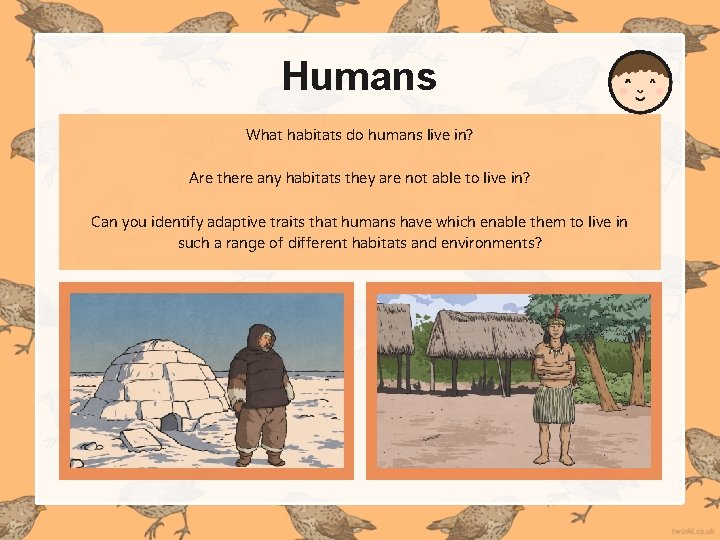 Humans What habitats do humans live in? Are there any habitats they are not Humans What habitats do humans live in? Are there any habitats they are not