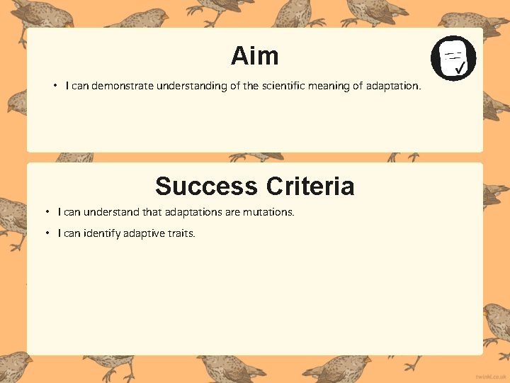 Aim • I can demonstrate understanding of the scientific meaning of adaptation. Success Criteria Aim • I can demonstrate understanding of the scientific meaning of adaptation. Success Criteria