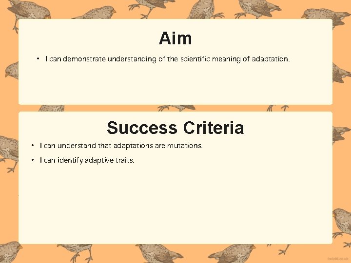 Aim • I can demonstrate understanding of the scientific meaning of adaptation. Success Criteria Aim • I can demonstrate understanding of the scientific meaning of adaptation. Success Criteria