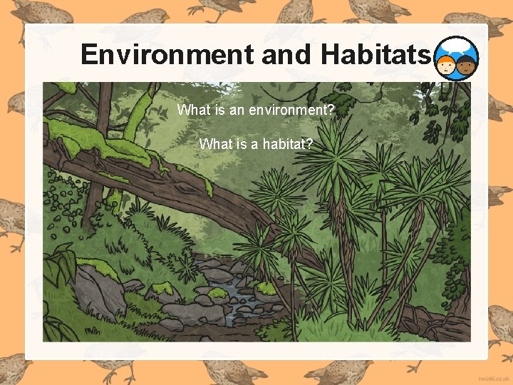 Environment and Habitats What is an environment? What is a habitat? Environment and Habitats What is an environment? What is a habitat?