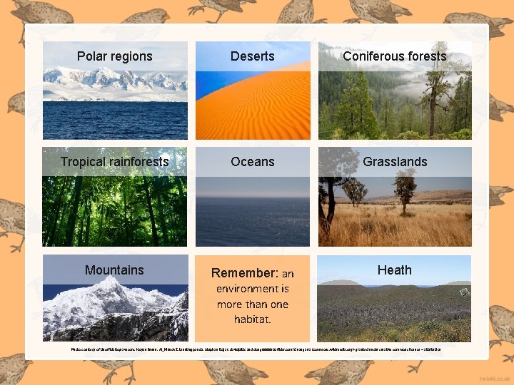 Polar regions Deserts Coniferous forests Tropical rainforests Oceans Grasslands Mountains Remember: an environment is Polar regions Deserts Coniferous forests Tropical rainforests Oceans Grasslands Mountains Remember: an environment is
