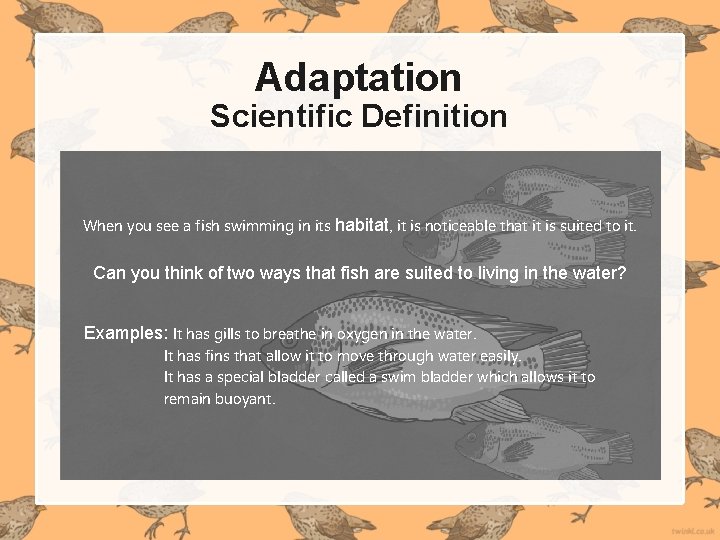 Adaptation Scientific Definition When you see a fish swimming in its habitat, it is Adaptation Scientific Definition When you see a fish swimming in its habitat, it is