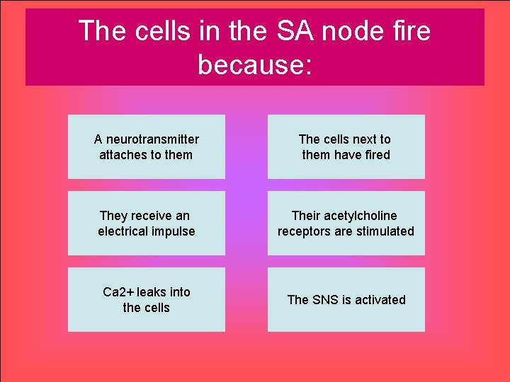 The cells in the SA node fire because: A neurotransmitter attaches to them The