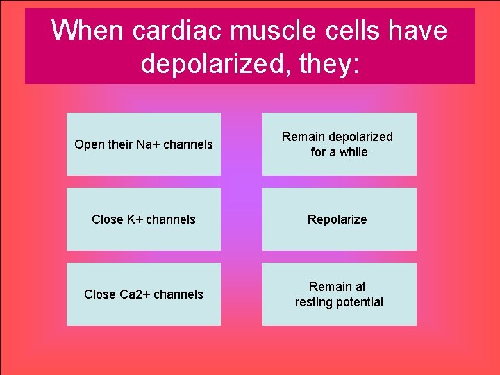 When cardiac muscle cells have depolarized, they: Open their Na+ channels Remain depolarized for